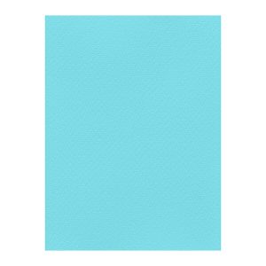 Χρωματιστά Χαρτόνια τύπου Canson 220gr - 50x70cm - Favini Prisma