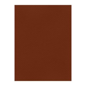 Χρωματιστά Χαρτόνια τύπου Canson 220gr - 50x70cm - Favini Prisma
