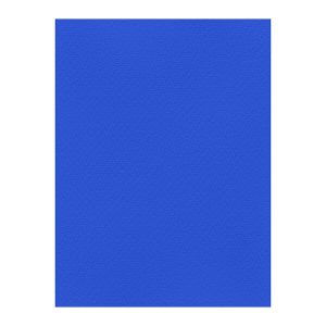 Χρωματιστά Χαρτόνια τύπου Canson 220gr - 50x70cm - Favini Prisma
