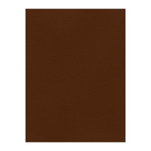 Χρωματιστά Χαρτόνια τύπου Canson 220gr - 50x70cm - Favini Prisma