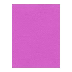 Χρωματιστά Χαρτόνια τύπου Canson 220gr - 50x70cm - Favini Prisma