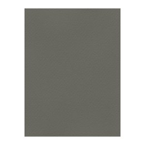 Χρωματιστά Χαρτόνια τύπου Canson 220gr - 50x70cm - Favini Prisma