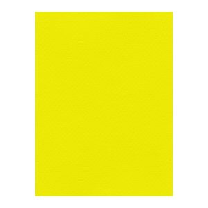 Χρωματιστά Χαρτόνια τύπου Canson 220gr - 50x70cm - Favini Prisma