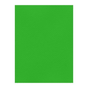 Χρωματιστά Χαρτόνια τύπου Canson 220gr - 50x70cm - Favini Prisma