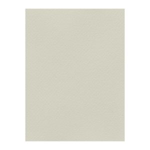Χρωματιστά Χαρτόνια τύπου Canson 220gr - 50x70cm - Favini Prisma