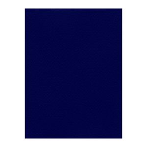 Χρωματιστά Χαρτόνια τύπου Canson 220gr - 50x70cm - Favini Prisma