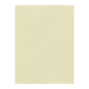 Χρωματιστά Χαρτόνια τύπου Canson 220gr - 50x70cm - Favini Prisma