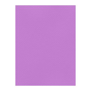 Χρωματιστά Χαρτόνια τύπου Canson 220gr - 50x70cm - Favini Prisma