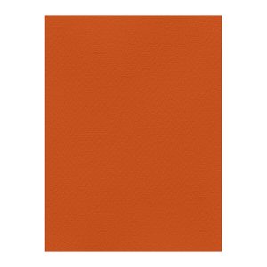 Χρωματιστά Χαρτόνια τύπου Canson 220gr - 50x70cm - Favini Prisma