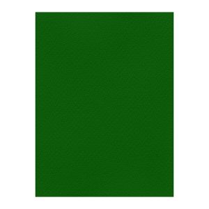 Χρωματιστά Χαρτόνια τύπου Canson 220gr - 50x70cm - Favini Prisma
