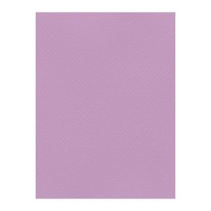 Χρωματιστά Χαρτόνια τύπου Canson 220gr - 50x70cm - Favini Prisma
