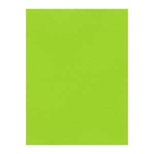 Χρωματιστά Χαρτόνια τύπου Canson 220gr - 50x70cm - Favini Prisma