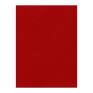 Χρωματιστά Χαρτόνια τύπου Canson 220gr - 50x70cm - Favini Prisma
