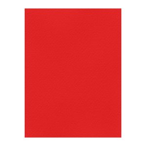 Χρωματιστά Χαρτόνια τύπου Canson 220gr - 50x70cm - Favini Prisma