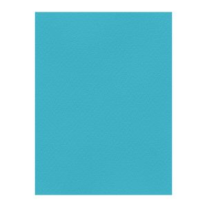 Χρωματιστά Χαρτόνια τύπου Canson 220gr - 50x70cm - Favini Prisma
