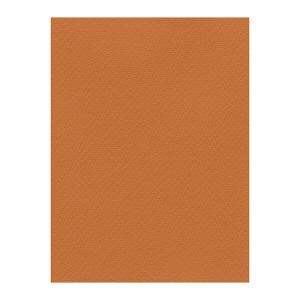 Χρωματιστά Χαρτόνια τύπου Canson 220gr - 50x70cm - Favini Prisma
