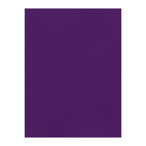 Χρωματιστά Χαρτόνια τύπου Canson 220gr - 50x70cm - Favini Prisma