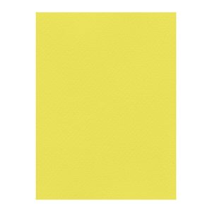 Χρωματιστά Χαρτόνια τύπου Canson 220gr - 50x70cm - Favini Prisma